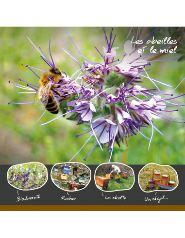 carte postale les abeilles et le miel