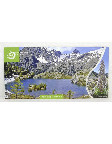 les roches cristallines (granite, gneiss) autour du lac de Trecolpas en Vésubie et le saxifage à fleurs multiples les roches cristallines (granite, gneiss) autour du lac de Trecolpas en Vésubie et le saxifage à fleurs multiples