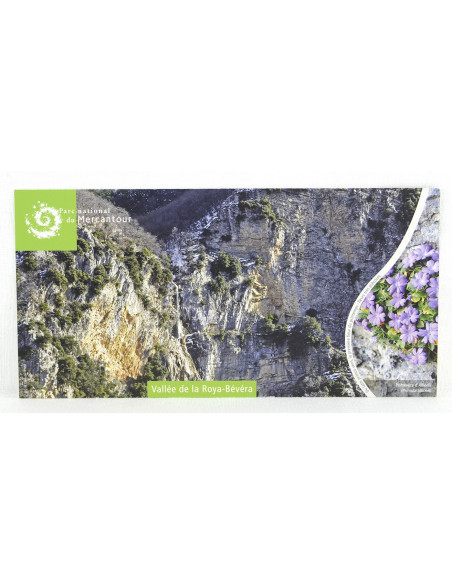 A FAIRE en Roya-Bévéra et la primevère d'Allionii