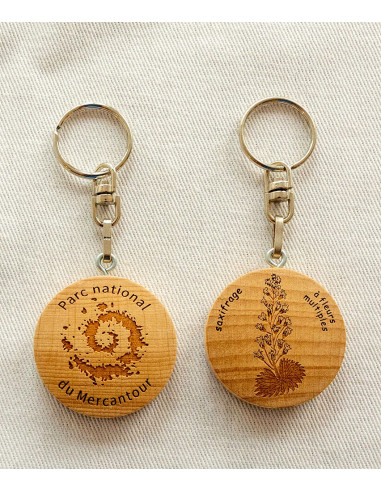 Saxifrage à fleurs multiples