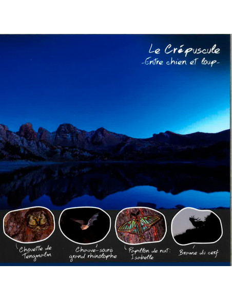 le crépuscule entre chien et loup