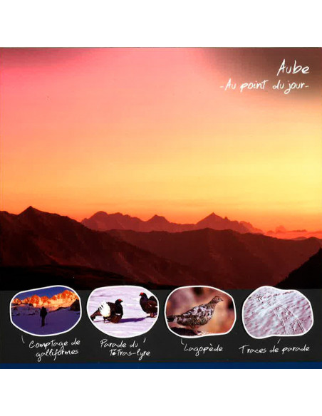 aube au point du jour