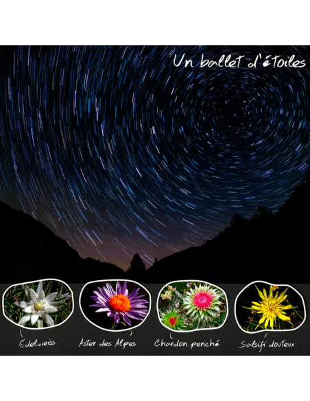un ballet d'étoiles