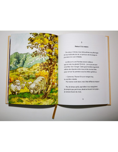 Tiburce - Journal d'un mouton