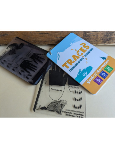 Carnet de découverte : Dans les pas des animaux des Parcs nationaux alpins