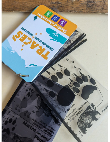 Carnet de découverte : Dans les pas des animaux des Parcs nationaux alpins