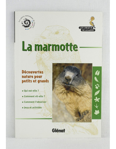 les carnets de la huppe: la marmotte