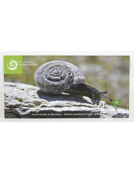 l'escargot fausse-veloutée du Mercantour