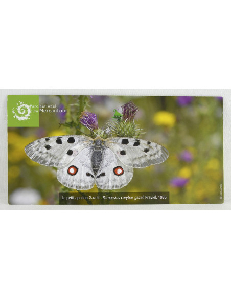 le petit apollon Gazeli